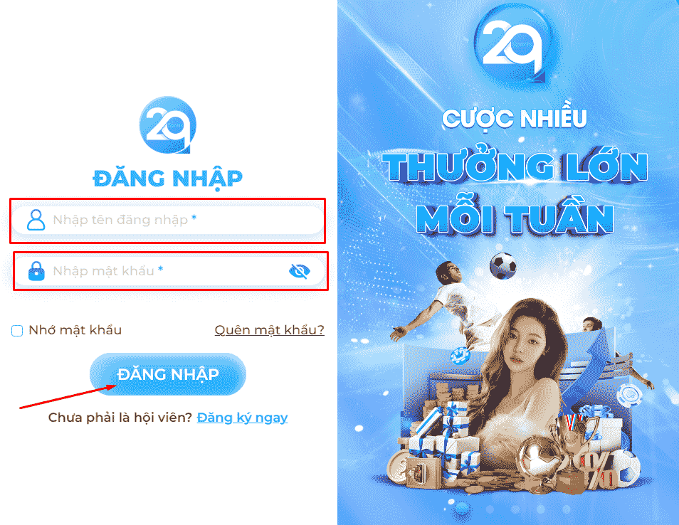 đăng nhập 2q sports